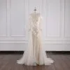 Exquisite Ivory Long Sleeveless A-Line Jewel Tulle Wedding Dress With Appliques