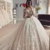 Gorgeous Long Sleeves Ball Gown Floral Lace Tulle Aline Bridal Gown