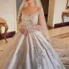 Gorgeous Long Sleeves V-neck Floral Appliques Princess Ball Gown
