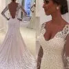 Court Train Mermaid V-neck Lace Long Sleeves Wedding Dresses