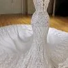 Sexy Lace Mermaid Wedding Dresses | Spaghetti Straps Appliques Bridal Gowns
